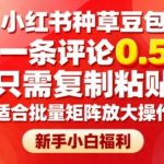 小红书暴利副业！复制粘贴日赚300+，0.5元/条评论矩阵放大，新手小白躺赚指南