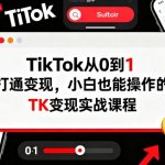 7天解锁TikTok暴利副业：手把手教你零基础躺赚月入过万（限时加赠流量秘籍）