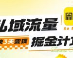 私域流量掘金秘籍：实战训练营，3天速赚变现引爆收入！