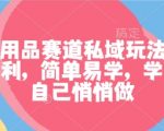 揭秘成人用品私域暴利玩法：简单易学，悄悄月入10万+