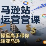 亚马逊站内运营大师课：资深高手教你玩转平台，销量飙升秘籍！