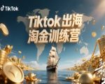 TikTok爆赚秘籍：跨境电商终极变现训练营，出海淘金日入过万！
