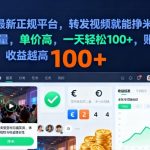 2025年视频转发暴利平台！日赚千元零门槛，多账号收益翻倍必看【揭秘】