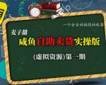 麦子甜闲鱼虚拟资源自助卖货神器：一键自动赚钱终极实操秘籍！