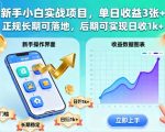 新手必看：日赚500+暴利项目！零基础实战，正规长期，秒变日入1K+独家揭秘