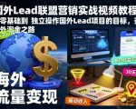 国外LEAD暴利项目：零基础日赚XXX美金实战教程（海外淘金秘籍）