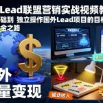 国外LEAD暴利项目：零基础日赚XXX美金实战教程（海外淘金秘籍）