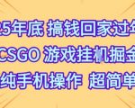 2025年底CSGO挂机暴富秘籍！手机一键掘金超简单【揭秘】