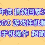 2025年底CSGO挂机暴富秘籍！手机一键掘金超简单【揭秘】
