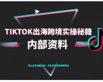 TikTok跨境电商0-1爆款实操终极秘籍：2025最新出海运营指南
