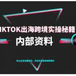 TikTok跨境电商0-1爆款实操终极秘籍：2025最新出海运营指南