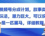 视频号故事类玩法爆赚教程：惊人潜力黑马，日入过千必学秘籍！