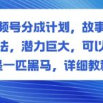 视频号故事类玩法爆赚教程：惊人潜力黑马，日入过千必学秘籍！