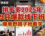 拼多多2025年9月爆款线下班：爆单野路子惊人秘籍，限时疯抢！