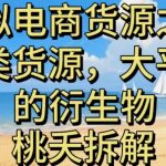 虚拟电商之二：另类货源大揭秘！大平台衍生物引爆电商新浪潮