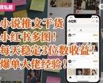 小红书小说推文日赚1000+爆单秘诀：多图技巧快速稳定三位数收益！