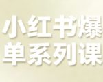 小红书爆单终极秘籍：电商全链路增长爆款课！