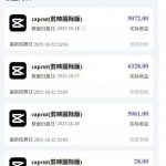 2025风暴狂潮：TK剪映CAPCUT拉新暴利项目，天价客单市场空白，下半年蓝海掘金终极机遇！