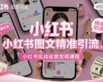 小红书爆款图文引流秘籍：零基础实战变现课轻松月入过万