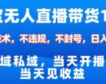 淘宝无人直播12.0爆赚秘籍：不封号稳抓双十一流量风口，日入1000+独家技术终极揭秘！