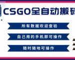 2025年CSGO自动搬砖暴利项目：新手零风险当天赚，轻松月入过万揭秘！