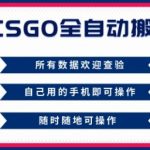 2025年CSGO自动搬砖暴利项目：新手零风险当天赚，轻松月入过万揭秘！
