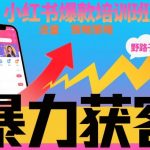 小红书爆款获客秘籍：野路子流量暴增术，轻松持续吸金！