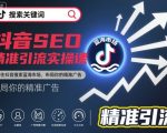 抖音SEO爆款引流实战秘籍：抢占蓝海市场，精准广告布局轻松赚流量！