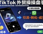 TikTok外贸爆款秘籍：公域引流私域成交全攻略，低成本倍增海外高质量询盘！