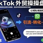 TikTok外贸爆款秘籍：公域引流私域成交全攻略，低成本倍增海外高质量询盘！