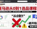 亚马逊选品大师课：秒懂核心逻辑，避开同质化陷阱，精准锁定蓝海爆发市场！