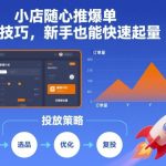 小店随心推爆单秘诀：新手轻松日销破万投放技巧！