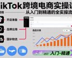 TIKTOK跨境电商爆款实操课：零基础速成精通终极秘籍