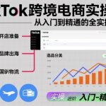 TIKTOK跨境电商爆款实操课：零基础速成精通终极秘籍