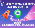 抖音巨量AD+本地推+小红书聚光投放课：终极秘籍破解疑难杂症，低成本高效获客爆单攻略