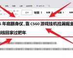 2025年底CSGO游戏挂暴富秘笈：捡漏掘金赚翻天，轻松回家过肥年！【揭秘】