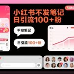 小红书不发笔记爆粉秘籍：日引流100+粉丝的终极神技