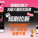 小红书短剧推广秘籍：3天破百万播放，收益翻倍实操干货课！