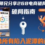 贾真师兄268电商破局秘籍：彻底解救泥潭商家的终极指南