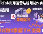 2025 TikTok爆款变现秘籍：账号运营+视频制作全攻略，轻松掌握11月搬运黑科技