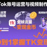 2025 TikTok爆款变现秘籍：账号运营+视频制作全攻略，轻松掌握11月搬运黑科技