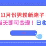2025年11月男粉暴利新玩法，当天起号日赚500+！