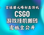 【2025暴利揭秘】CSGO搬砖赚钱日入500+，必看终极秘籍