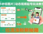 爆款图片+动态视频起号神技教学，涨粉引流终极秘籍！