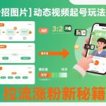 爆款图片+动态视频起号神技教学，涨粉引流终极秘籍！