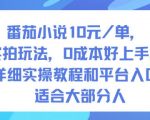 番茄小说日赚300+！0元成本实拍攻略，10元/单提现秒到账，手把手教会95%小白！