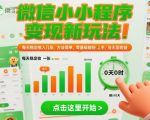 微信小程序日赚几百元秘笈：零基础当天见效，轻松爆赚【揭秘】