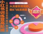 小红书高阶训练营：流量爆涨变现秘籍，打造财富增长飞轮系统！