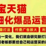 淘宝天猫爆品运营终极秘籍：免费流量狂飙+付费广告暴利放大，三大痛点一键解决！