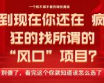 2025年风口项目终极揭秘：看完这篇，财富自由不是梦！